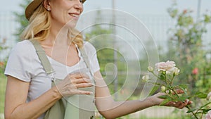 A smiling middle aged woman sprays pink peonies with water and enjoys watching the growth and blossoming. A lady owner