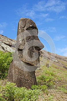 Smiling Moai on Easter Island