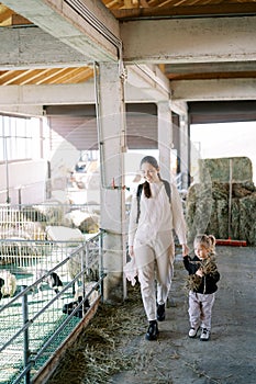 Smiling mother and little girl walk holding hands past the fence of a pen with lambs on a farm