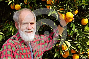 Smiling old farmer shows orange fruit