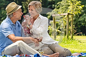 Smiling pensioner couple picnicking summer