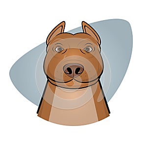 Smiling pitbull illustration