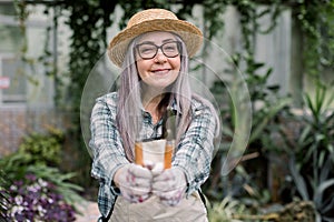 Smiling pretty elderly gardening woman, wearing straw hat and apron, showing little spade and rake to camera, posing in