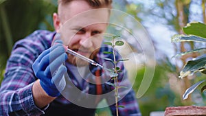 Smiling pretty gardener man in front of the camera in a spacious greenhouse he drops some vitamins over the plants