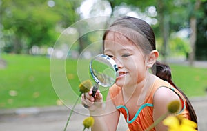 Smiling pretty little Asian child girl with magnifying glass looks at flower in summer park