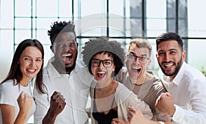 Smiling professional business leaders and employees group team portrait