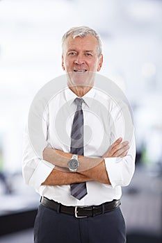 Smiling professional man portrait