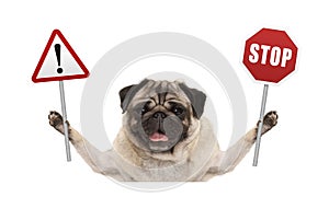 Smiling pug dog holding up red stop and exclamation mark sign