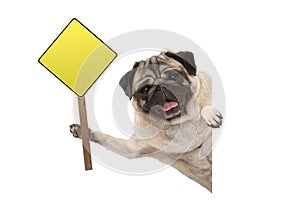 Smiling pug puppy dog holding up blank yellow warning, attention sign