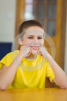 Smiling pupil sitting at his desk in a classroom