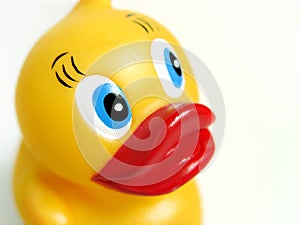 Smiling Rubber Duck photo