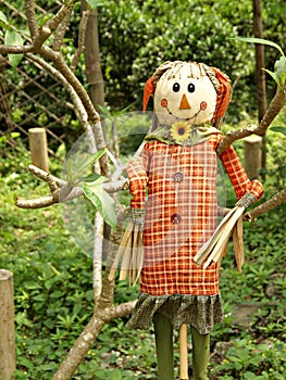 Smiling scarecrow standing in green field