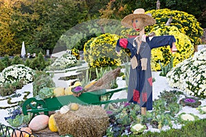 Smiling scarecrow in a vegetable garden in a countryside.