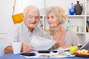 Smiling senior couple counting home finances