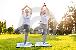 Smiling senior couple doing partner yoga exercises on green lawn in park standing in Vrksasana pose