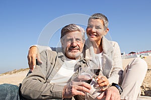 Smiling senior couple enjoying picnic at seashore