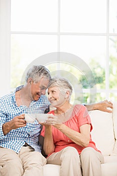 Smiling senior couple toasting with mugs