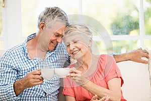 Smiling senior couple toasting with mugs