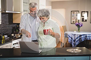 Smiling senior couple watching laptop while standing in kitchen