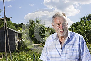 Smiling Senior Man In Community Garden