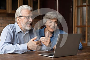 Smiling senior man and woman have webcam talk on laptop