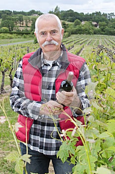 Smiling senior wine-grower shows grapes cluster