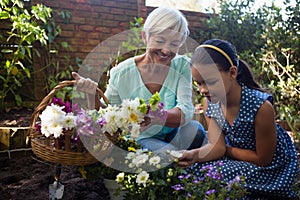 Smiling senior woman carrying flower basket looking at granddaughter