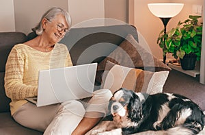 Smiling senior woman using laptop sitting on sofa near her almost asleep cavalier king charles dog. Elderly lady surfs the
