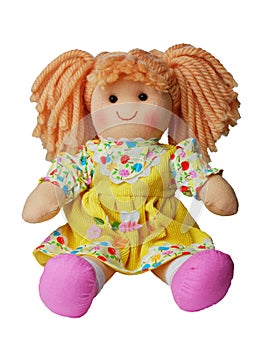 Smiling sit Cute rag doll isolated