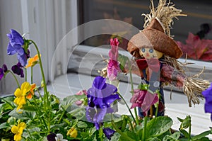 Smiling scarecrow in a window box of yellow and purple pansies.