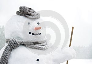 Smiling snowman outdoors in snowfall