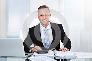 Smiling successful businessman st his desk