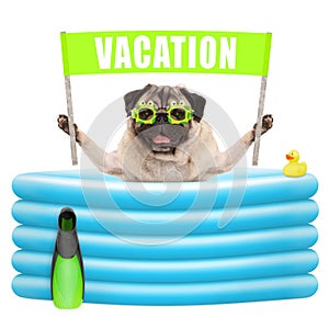 Smiling summer pug dog with goggles,flipper and banner sign with text vacation in inflatable pool