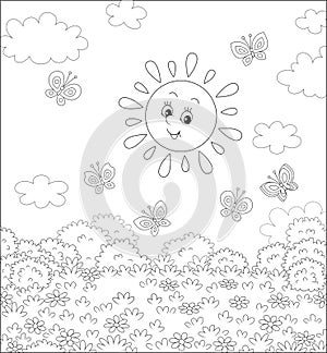 Smiling sun and butterflies over a field