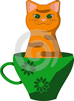 Smiling tabby red cat with green eyes in tea cup