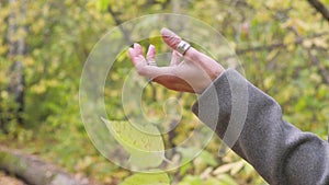 Smiling teenager girl holding autumn leaves s and throwing up in autumn forest