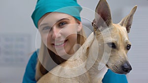 Smiling vet doctor with funny dog posing on camera, professional pet clinic care