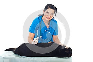 Smiling vet woman inject dog photo