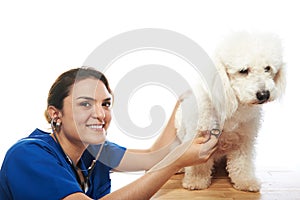 Smiling veterinar woman