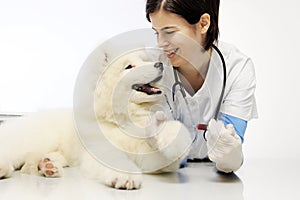 Smiling veterinarian with dog in vet clinic