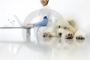 Smiling Veterinarian examining dog on table with computer in vet