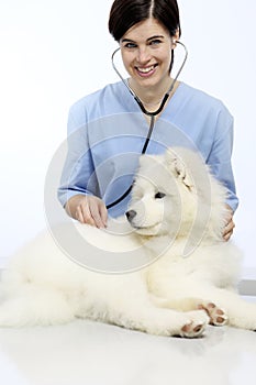 Smiling Veterinarian examining dog on table in vet clinic