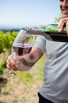 Smiling vintner examining wine