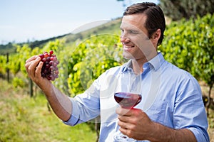 Smiling vintner holding grapes and glass of wine