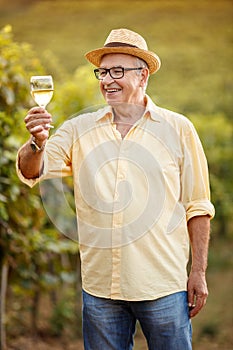 Smiling winegrower tasting wine in vineyard