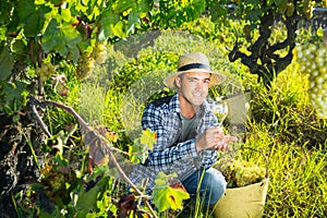 Smiling winemaker offering wine for testing in vineyard