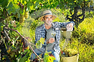 Smiling winemaker offering wine for testing in vineyard