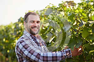 Smiling winemaker in the vineyard