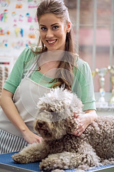 smiling woman and Barbe dog.Dog gets hair cut at Pet Spa Grooming Salon. Closeup of Dog. the dog has a haircut