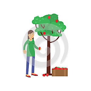 Smiling woman cartoon character harvesting from apple tree, ecological lifestyle concept